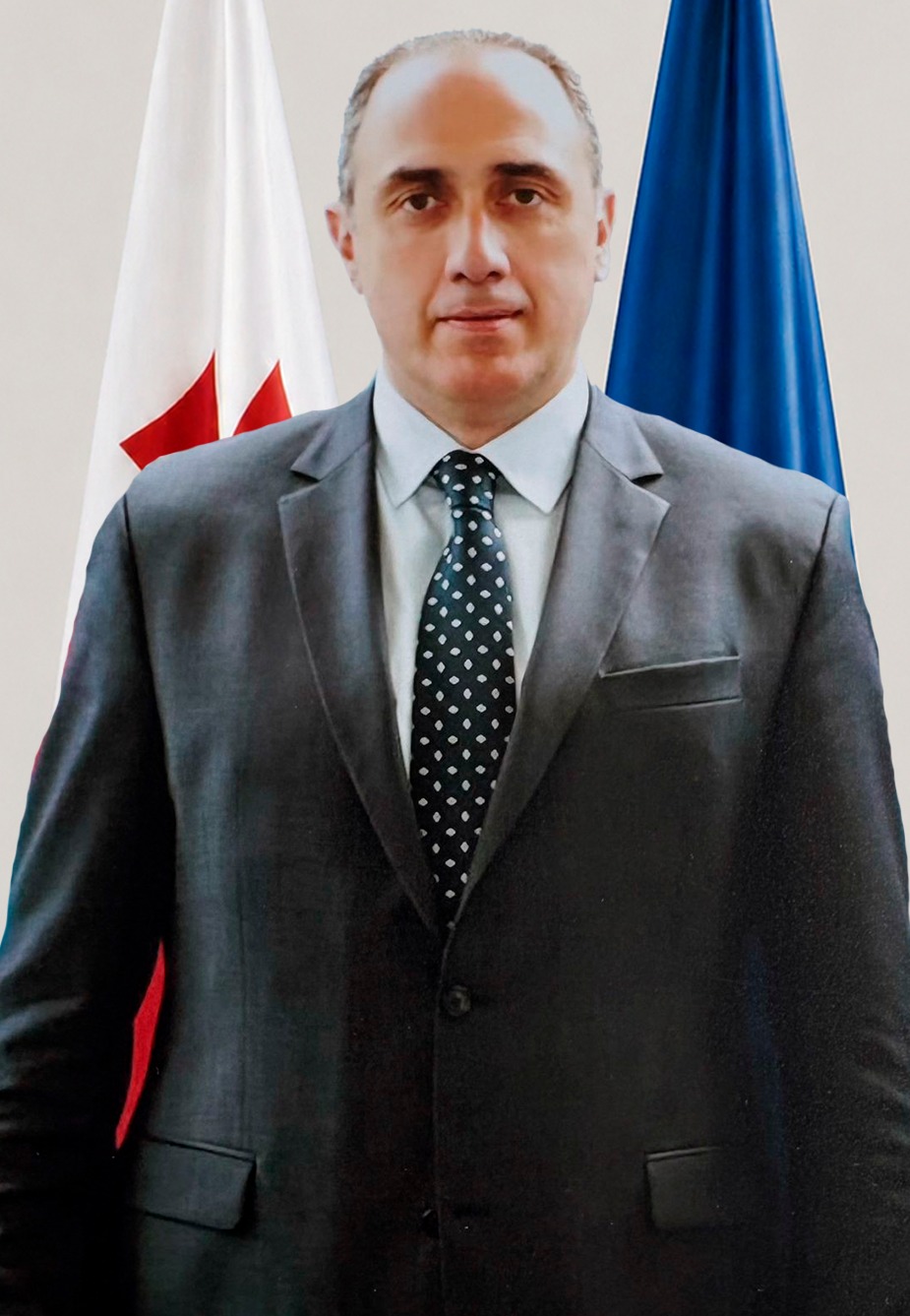 გენერალური დირექტორი