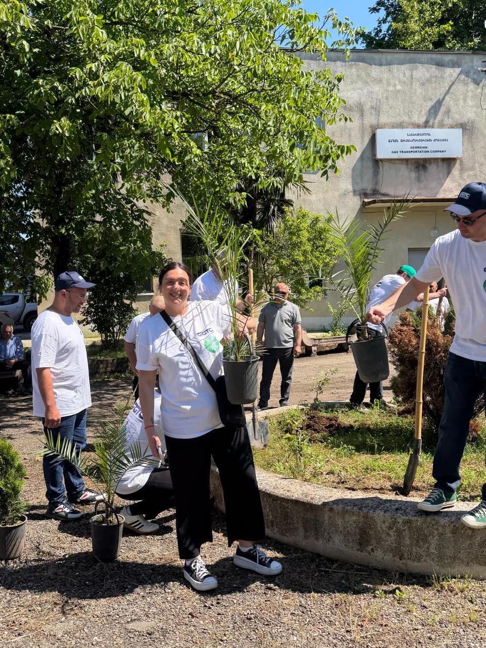 გარემოს დაცვის მსოფლიო დღე საქართველოს გაზის ტრანსპორტირების კომპანიაში Image7
