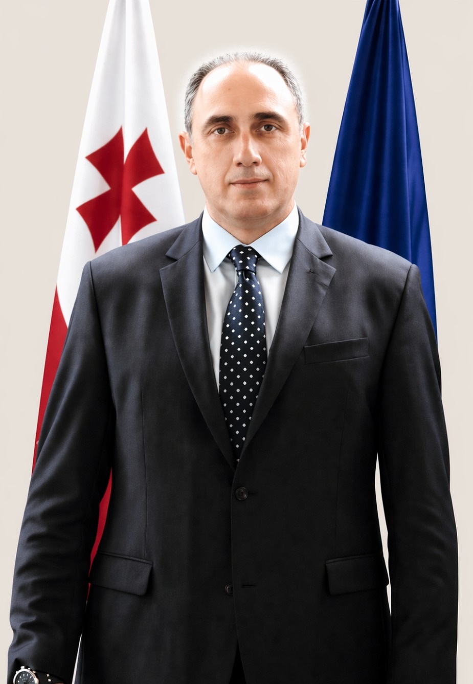 გენერალური დირექტორი